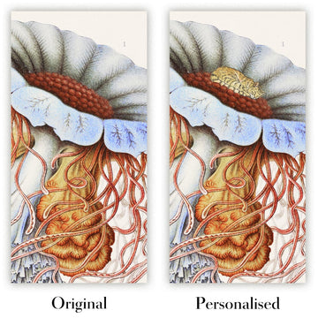 Image showing the difference between an Original map and a Personalised map