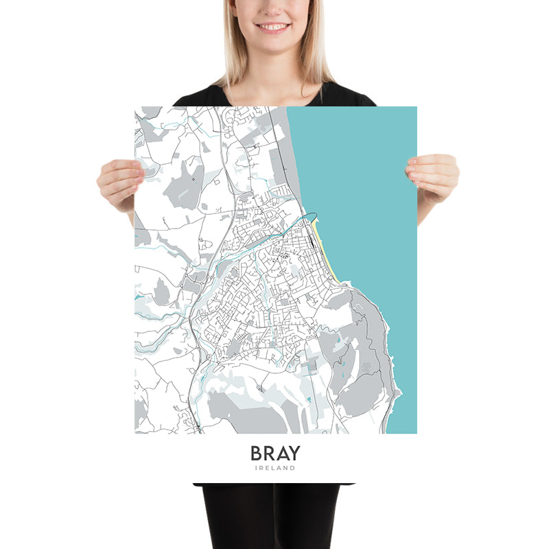 Modern Town Map of Bray, Ireland: Bray Head, Bray Harbour, Bray Head Nature Reserve, N11, R117