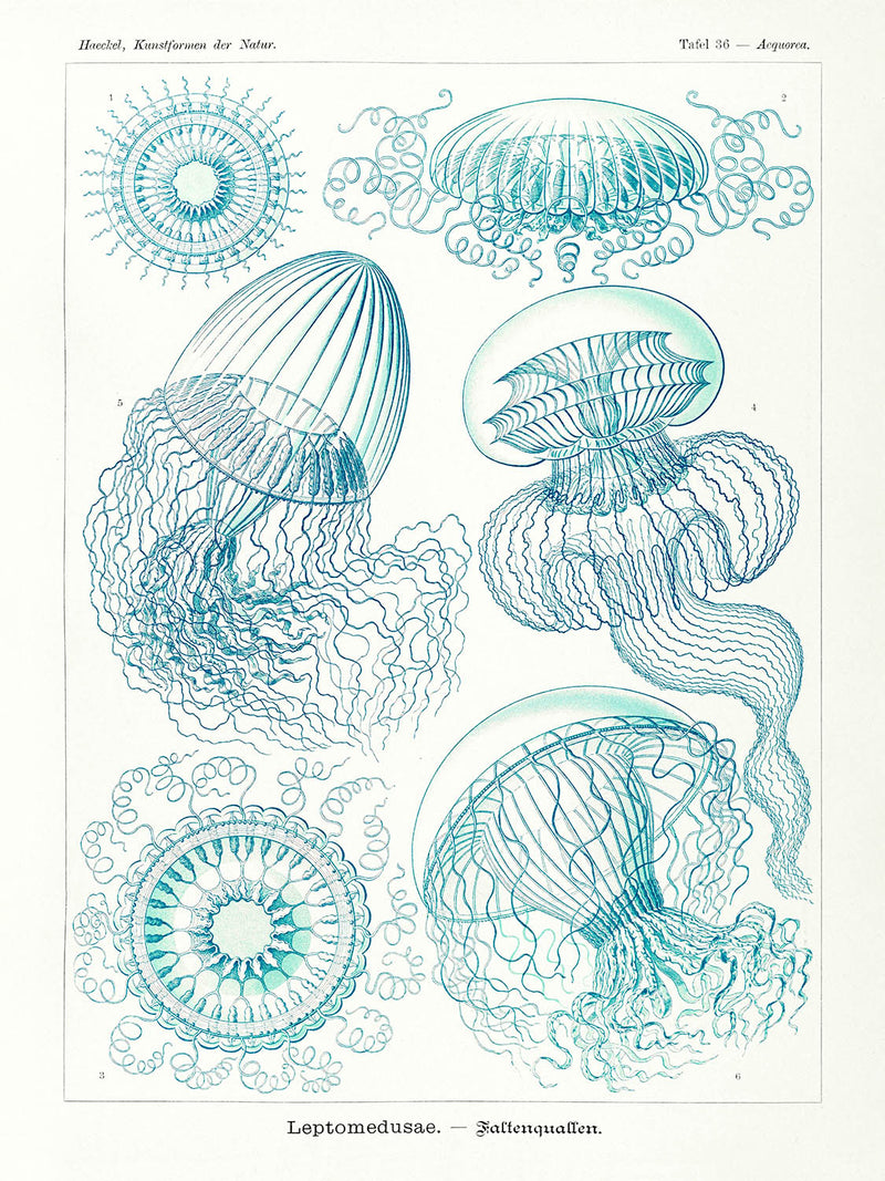 Visualiser thumbnail artwork