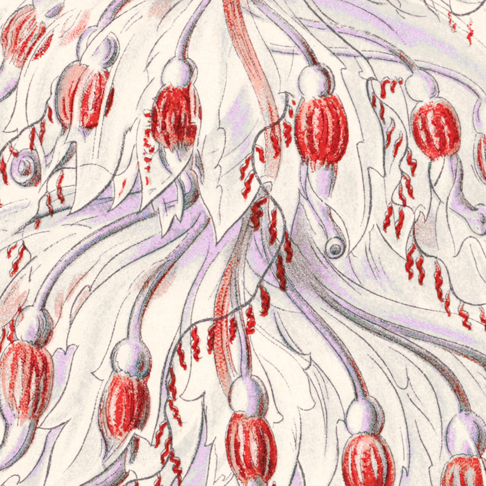 Zoológico de pólipos de tubo (Siphonophorae Staatsquallen) por Ernst Haeckel, 1904 