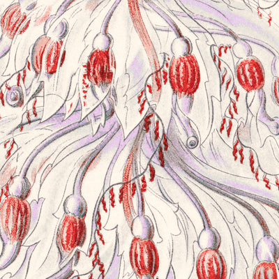 Zoológico de pólipos de tubo (Siphonophorae Staatsquallen) por Ernst Haeckel, 1904 