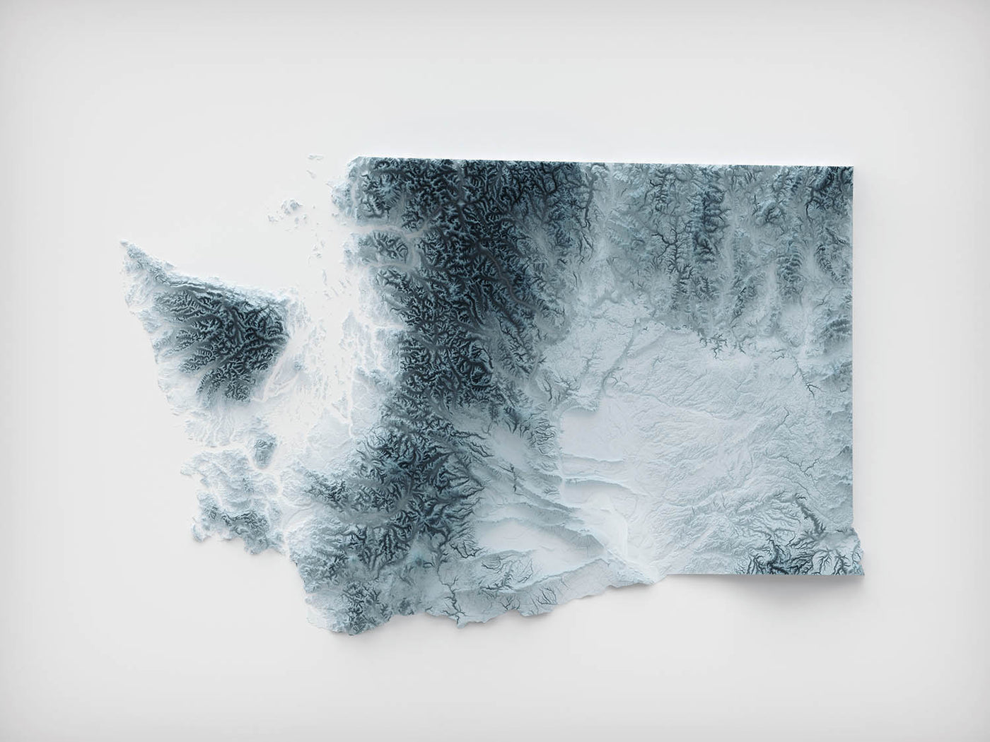Topografische 3D-Reliefkarte des Bundesstaates Washington 