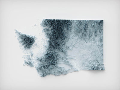 Topografische 3D-Reliefkarte des Bundesstaates Washington 