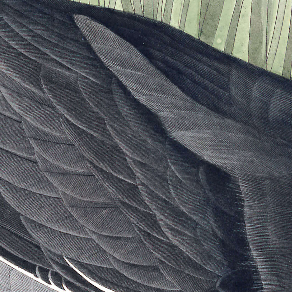 Amerikanischer Blässhuhn von John James Audubon, 1827 