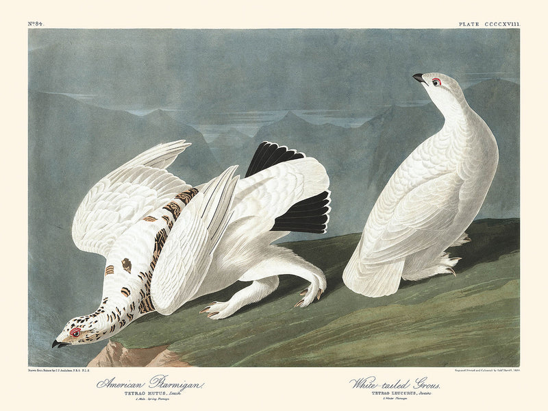 Visualiser thumbnail artwork