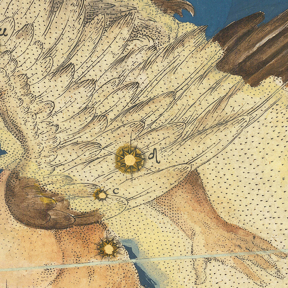 Old Star Map of Aquila by Johann Bayer, 1603 - Celestial Constellation Chart