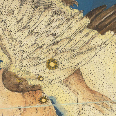 Old Star Map of Aquila by Johann Bayer, 1603 - Celestial Constellation Chart