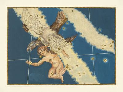 Old Star Map of Aquila by Johann Bayer, 1603 - Celestial Constellation Chart