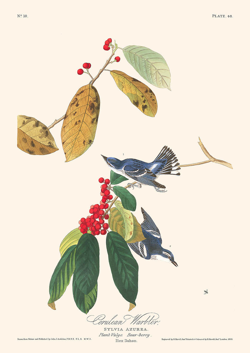 Visualiser thumbnail artwork