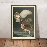 Scheibenkopf von 'Vögel von Amerika' von John James Audubon, 1827 