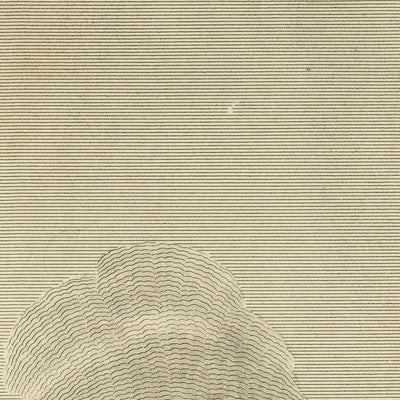Schlacht von New Orleans und Tod von Generalmajor Packenham von William Edward West, 1817 