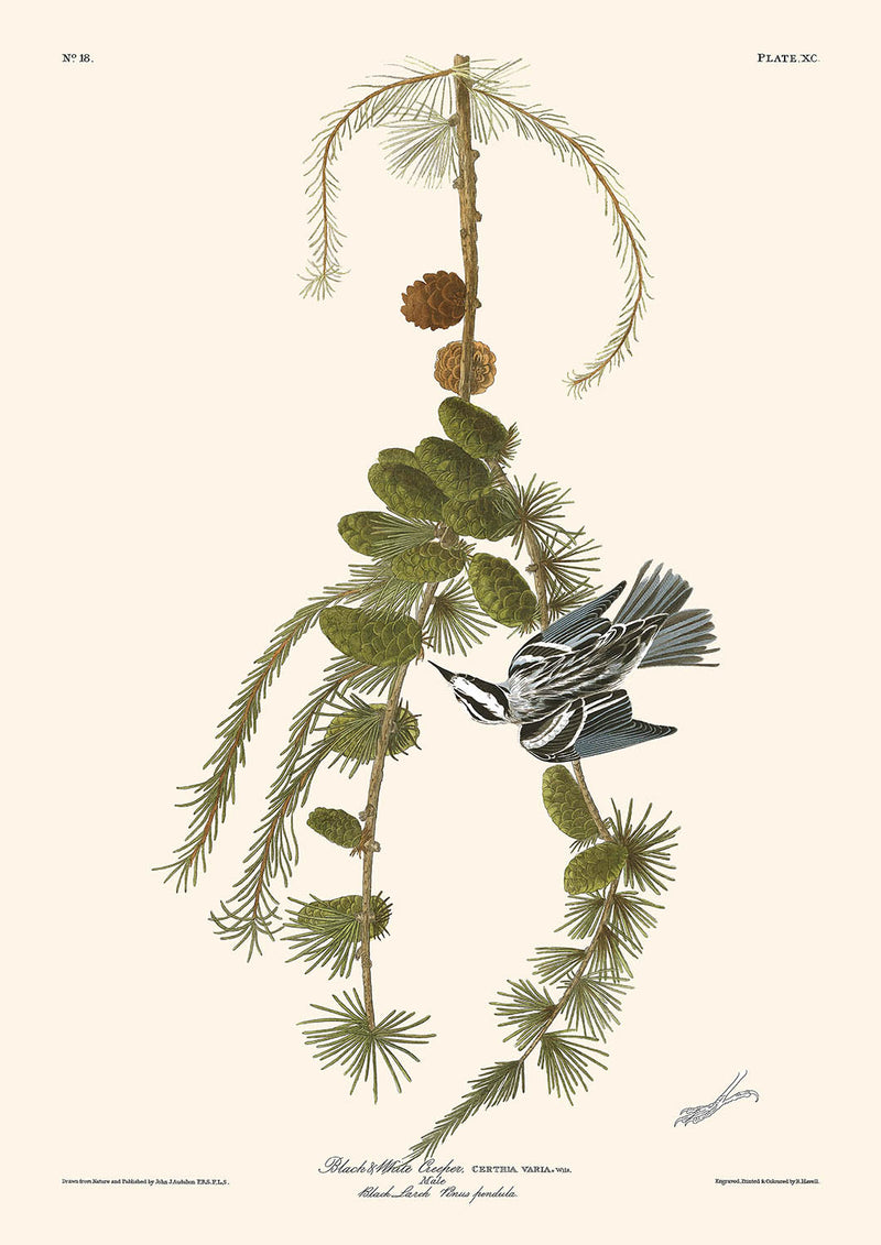 Visualiser thumbnail artwork