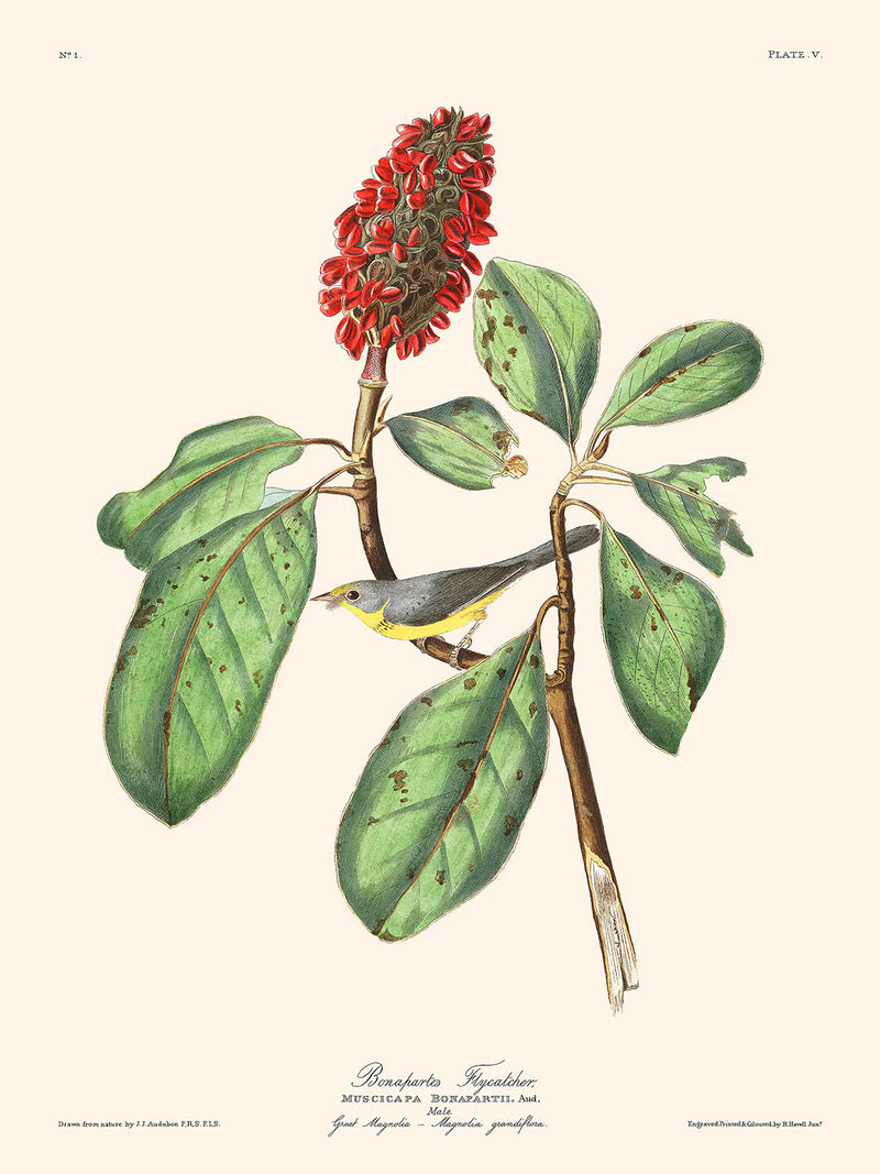 Visualiser thumbnail artwork