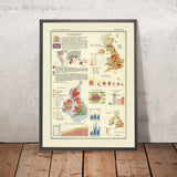 Alte Infografik-Karte der Britischen Inseln, 1967: Bevölkerungsdichte, Klimavariation, Beschäftigungsstatistiken 
