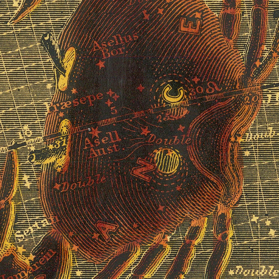 Cancro, Il Granchio di Duncan Bradford, 1837 