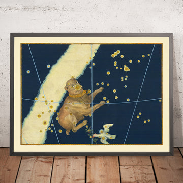 Ancienne carte des étoiles du Grand Chien (Canis Major) par Johann Bayer, 1603 - Carte des constellations célestes 