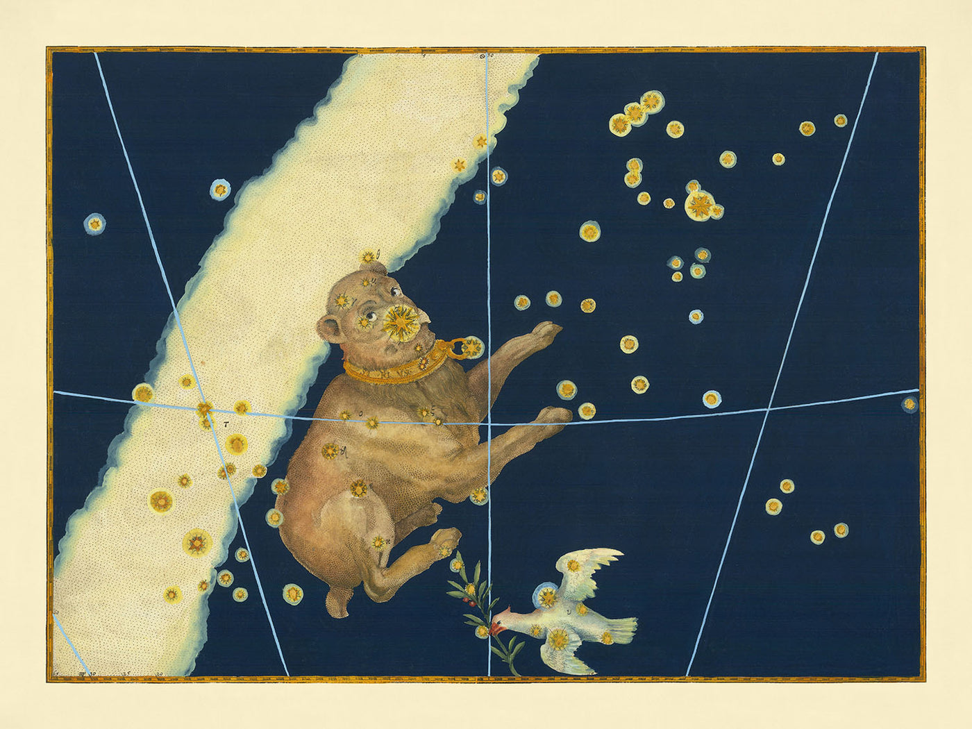 Alter Sternenkarte von Canis Major (Großer Hund) von Johann Bayer, 1603 - Himmlische Sternbildkarte 