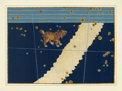 Alter Sternenkarte von Canis Minor (kleiner Hund) von Johann Bayer, 1603 - Himmlische Sternbildkarte 