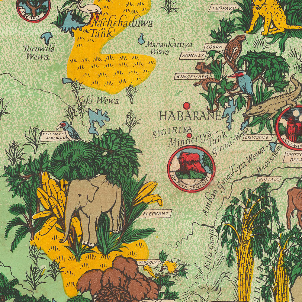 Ancienne carte picturale de Ceylan (Sri Lanka) par Gill, 1933 : Éléphants, Thé, Colombo, Pic d'Adam, Scènes de jungle 