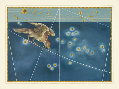 Alter Sternenkarte von Corvus von Johann Bayer, 1603 - Himmlische Sternbildkarte 