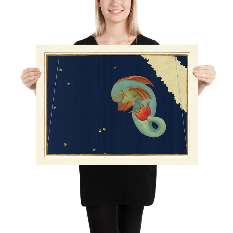 Ancienne carte étoilée de Delphinus par Johann Bayer, 1603 - Carte de constellation céleste 