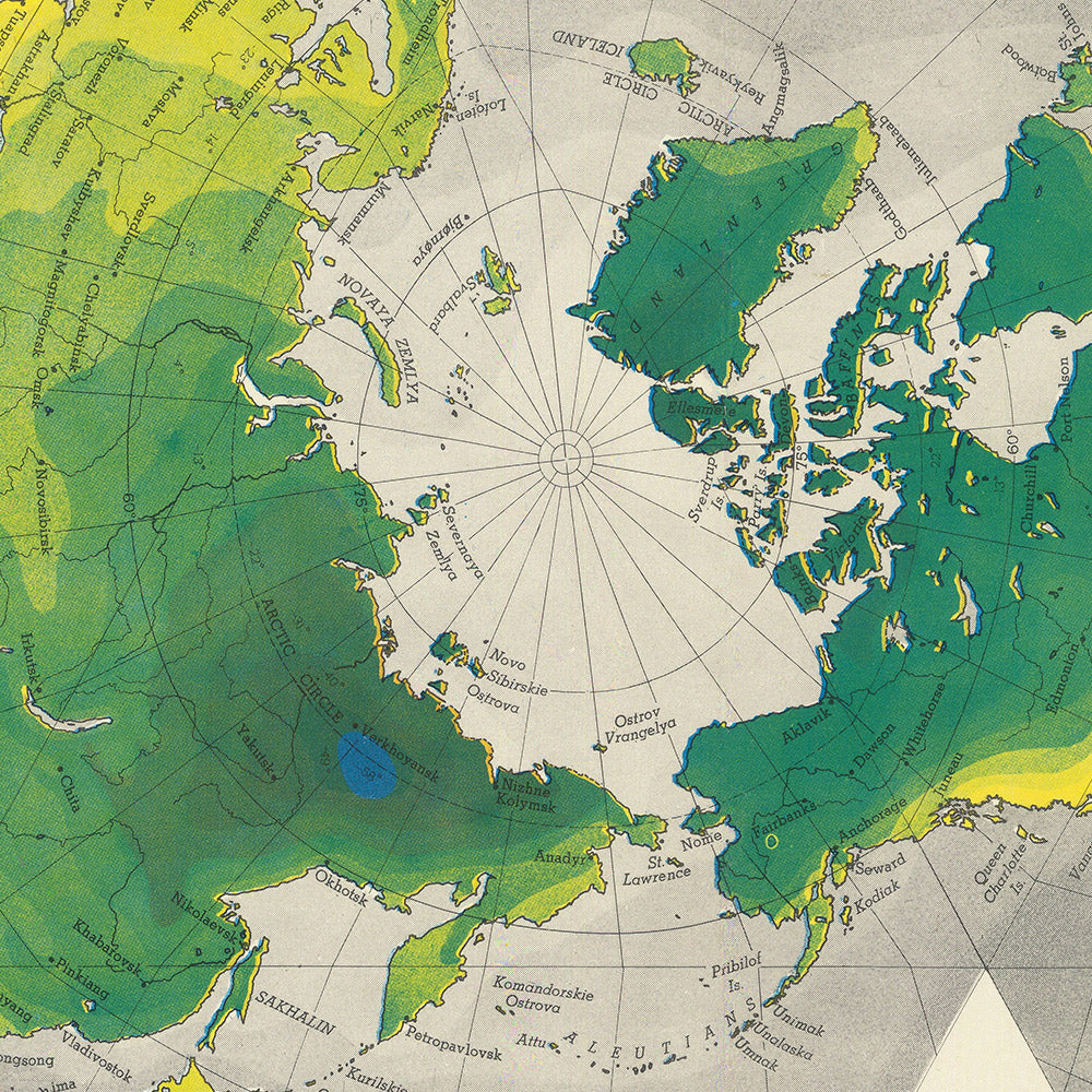 Antigua Mapa Mundial Airocean Dymaxion de Buckminster Fuller, 1954: Proyección Icosaédrica, Una Isla Tierra 