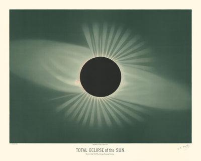 The Total Eclipse of the Sun by Etienne Leopold Trouvelot, 1882