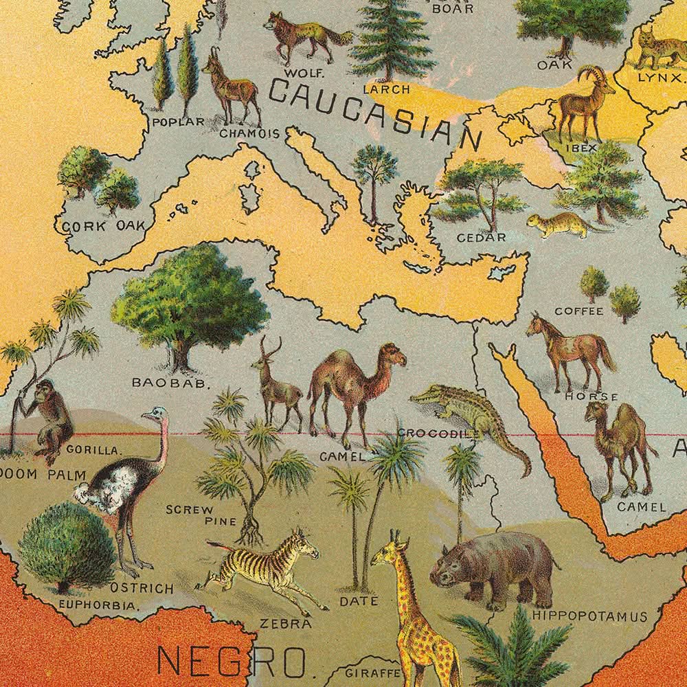 Tableau climatique du monde, 1893 : Distribution des races humaines, des animaux et de la végétation par Yaggy 