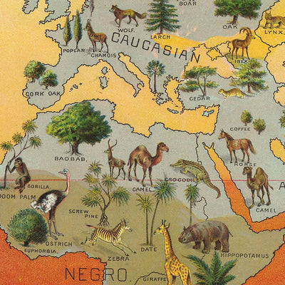 Tableau climatique du monde, 1893 : Distribution des races humaines, des animaux et de la végétation par Yaggy 