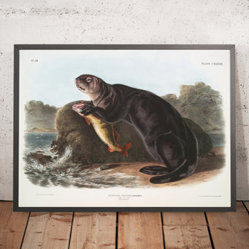 A framed image of 