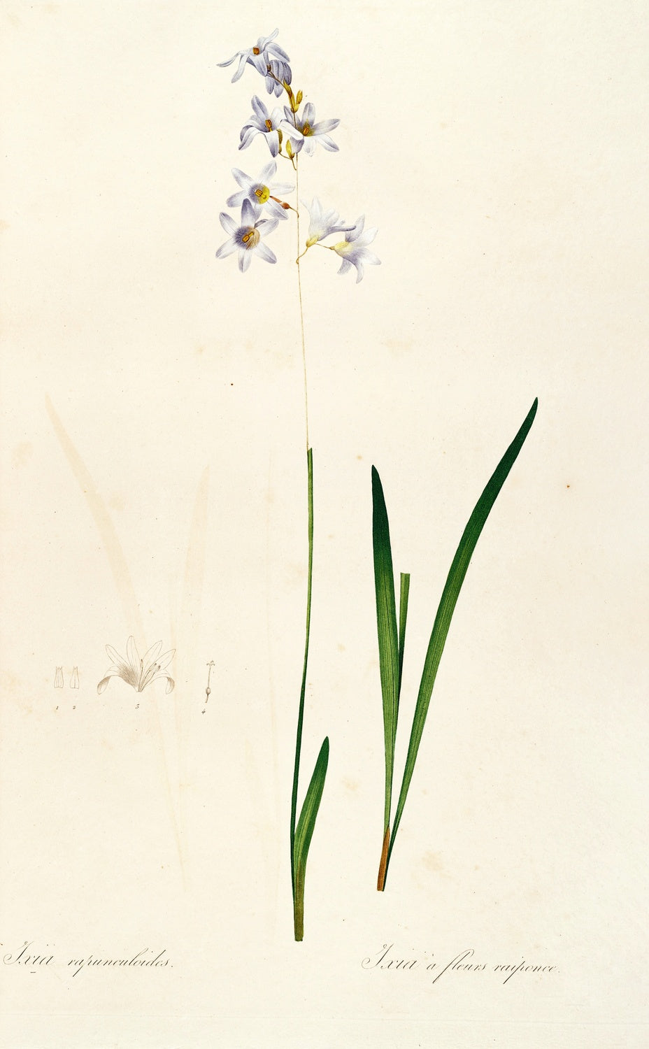 Artwork preview