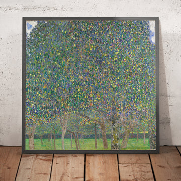 A framed image of 