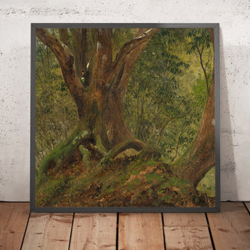 A framed image of 