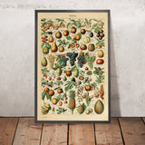 Frutas de Adolphe Millot 1890 