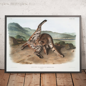 A framed image of 