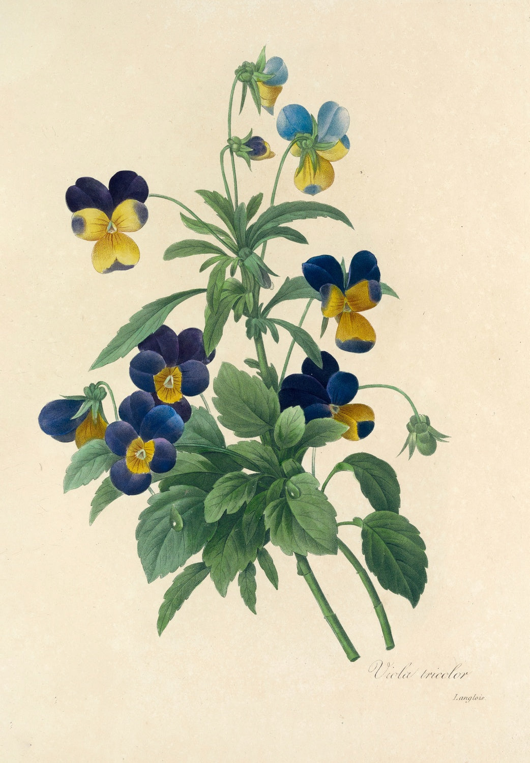 Artwork preview