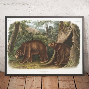 A framed image of 