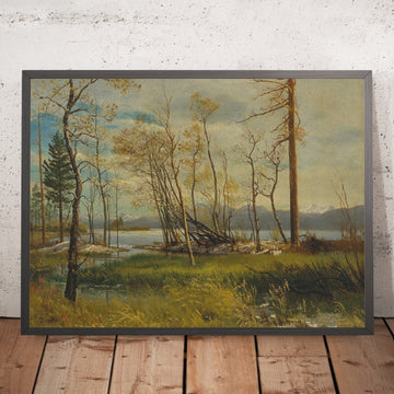 A framed image of 