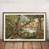 Zona Tropical de Yaggy, 1893 