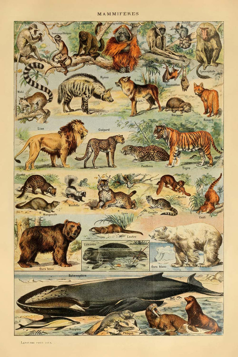 Visualiser thumbnail artwork