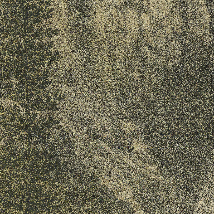 Le Grandi Cascate dello Yellowstone di Kurz & Allison, 1885 