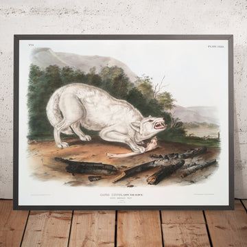 A framed image of 