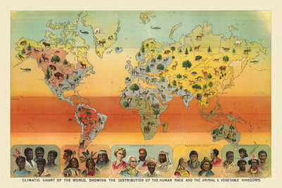 Tableau climatique du monde, 1893 : Distribution des races humaines, des animaux et de la végétation par Yaggy 