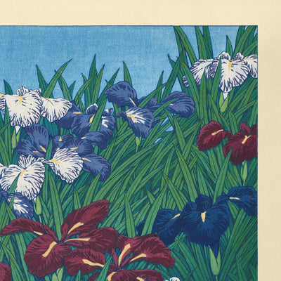 Iris par Hasui Kawase, 1935 