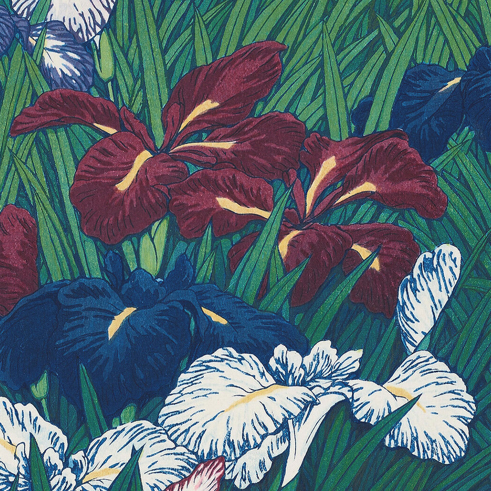Iris par Hasui Kawase, 1935 