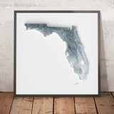 Florida topografische 3D-Reliefkarte 