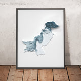 Carte topographique en relief 3D du Pakistan 