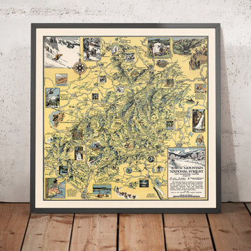 Antica mappa pittorica del White Mountain National Forest, 1930: Cannon Mt., Appalachian Trail, Franconia Notch, Mt. Washington, Conway 