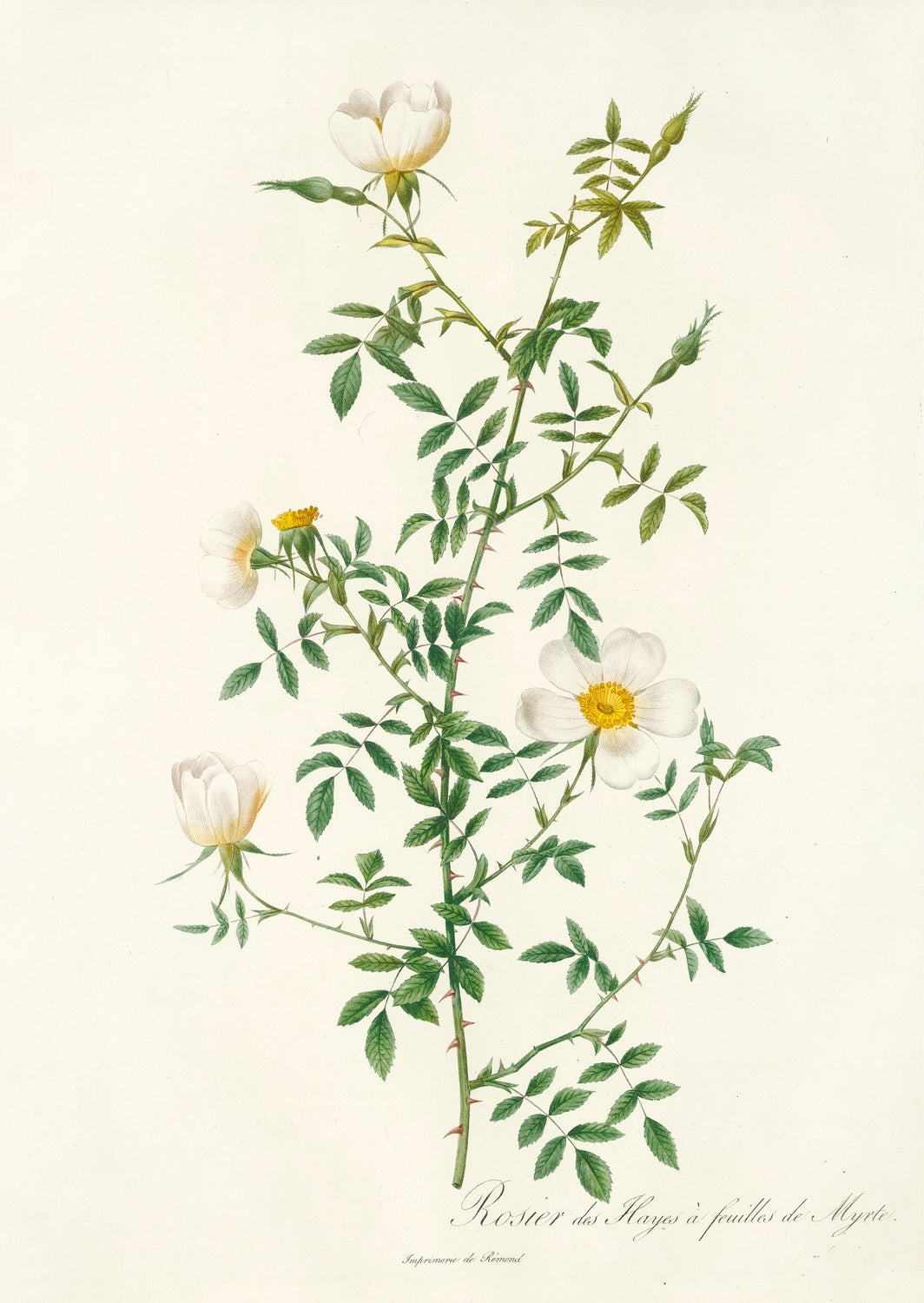 Artwork preview