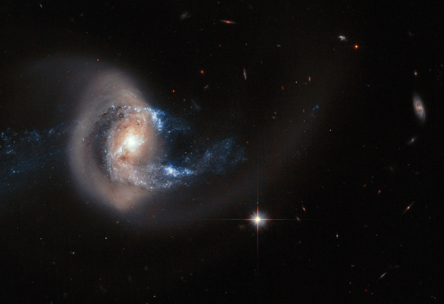 Artwork preview